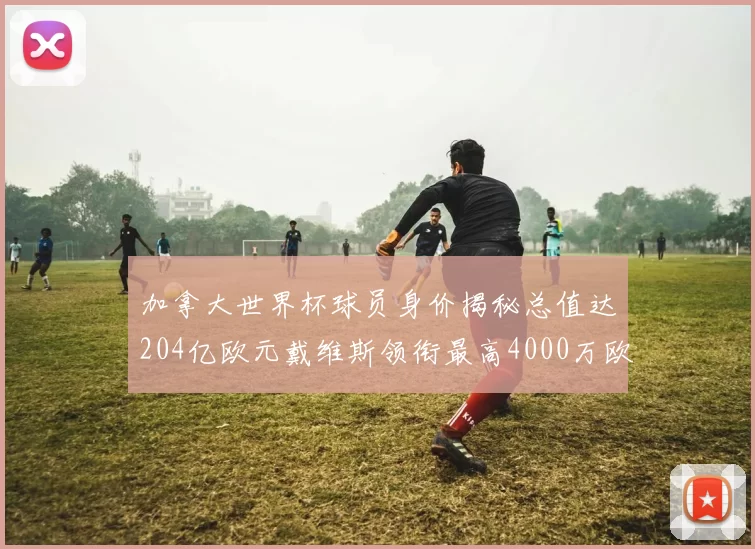 加拿大世界杯球员身价揭秘总值达204亿欧元戴维斯领衔最高4000万欧